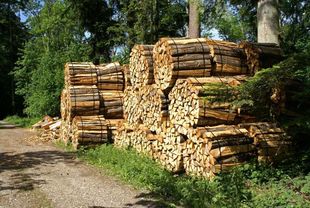 Holzstromanlage als Energiequelle